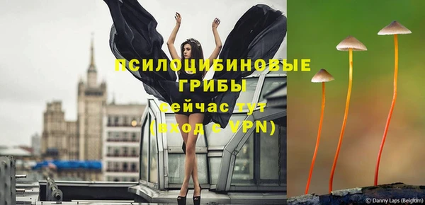 прущие крисы Алексин