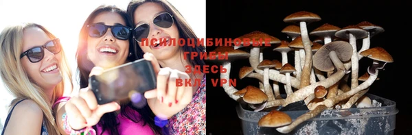 ALPHA PVP Алексеевка