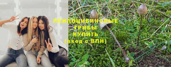 прущие крисы Алексин