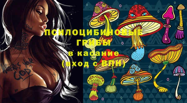 прущие крисы Алексин