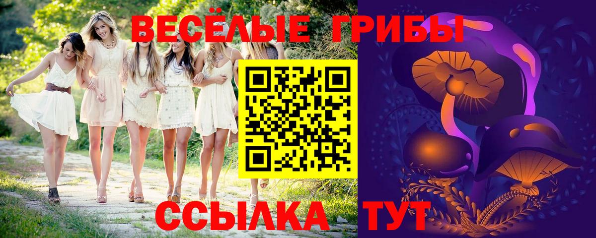 Красногорск  Псилоцибиновые грибы Magic Shrooms  где купить наркоту  Вход с VPN 